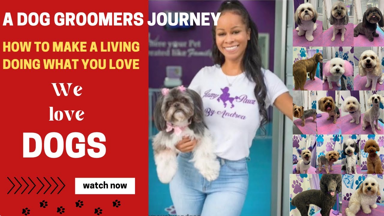 A Dog Groomer's Journey YouTube