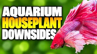 Aquarium Houseplants: 10 Problems Nobody Warned Me About!
