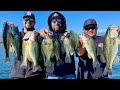 60+ Bass Day with Fred Klinshaw!