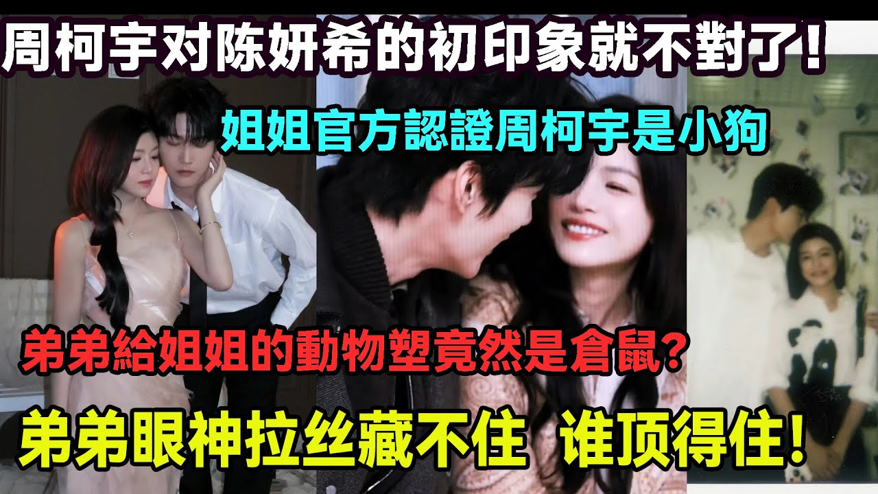 周柯宇陳妍希最新採訪互爆初印象：姐姐蓋章弟弟是 “忠犬”，弟弟卻嘴瓢把姐姐比作 “倉鼠”？這波反向操作太欲了，這雙人採訪我能看 100 遍