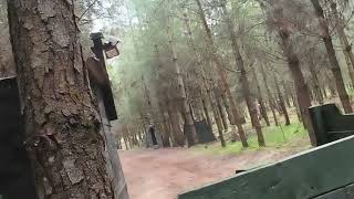 Team green airsoft