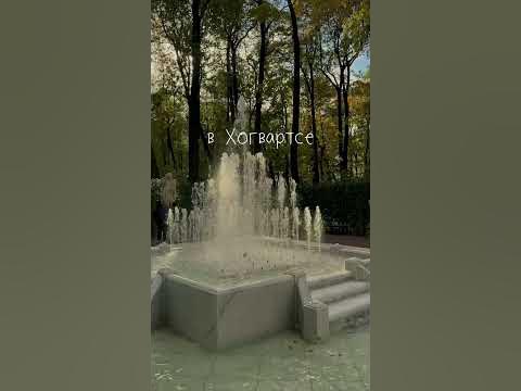 Вайб ГП вошел в чат 🍂 Подписывайся, тут про Питер #short #shorts - YouTube