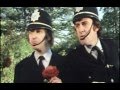 Severance of a peony             graham chapman  simon jones