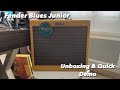 Fender Blues Junior Lacquered Tweed Unboxing and Quick Demo 🎸
