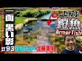 鎧まとった魚が異常繁殖…外来種で有名な沖縄の川がヤバかった【不安的中】ARMOR FISH≫生物ハンター加藤英明・japan wild hunter