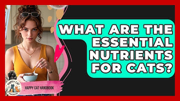 What Are the Essential Nutrients for Cats? | Happy Cat Handbook