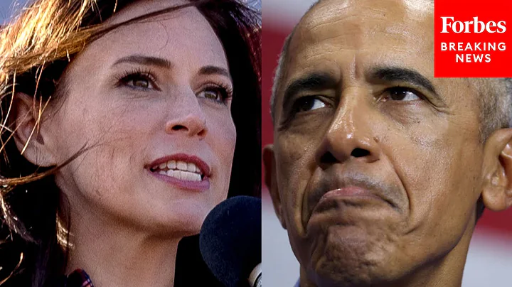 How Dare Barack Obama!: Tudor Dixon Slams Former P...