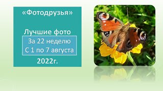 Фотодрузья 22 неделя