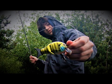 2 idiots go