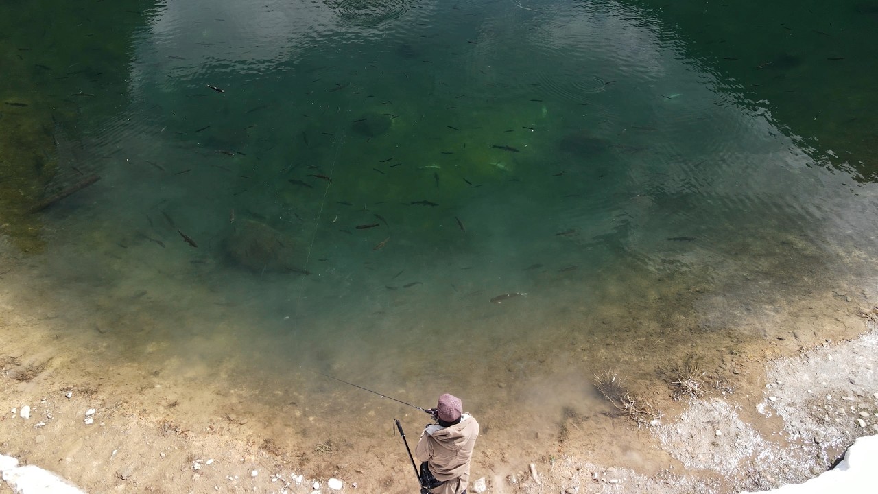 It's Basically an Aquarium Fishing in Crystal-Clear Water from