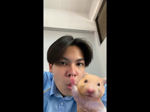 รีบมาสตรีม ตอนดึกไปกินเหล้า - รีบมาสตรีม ตอนดึกไปกินเหล้า