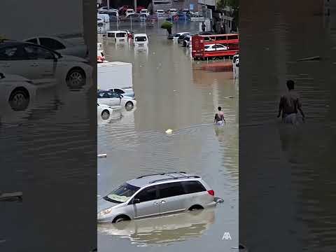 Record-breaking rainfall hits UAE, affecting schools and flights