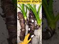 #agrico #cuttingtools #agriculture #woodworking #workhard #cuttingskills #ytshorts