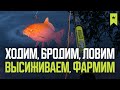 Ловим здесь, тут, там, так и сяк, всяко разно ● Русская рыбалка 4 ● Перчик РР4