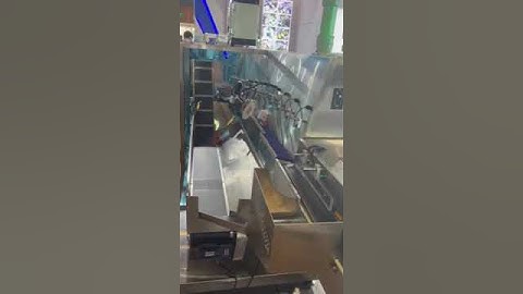High speed automatic conveyor for sorting products