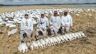 LATE Spring Snow Goose Hunting in Canada with Claudio Ongaro!