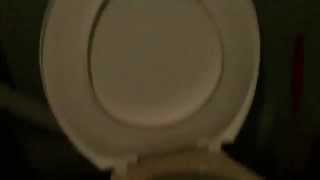 Beige Unbranded Art Deco Toilet -Portarlington Hotel