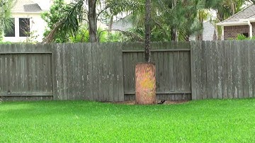 Proto slg on 25bps ramp with new camera