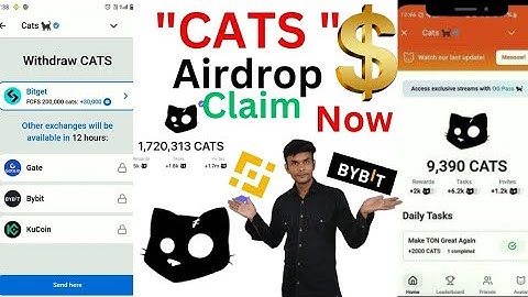 Cats Airdrop Withdrawal In Bybit , Cats Airdrop Withdrawal Kucoin, Cats Token Withdraw Kaise Kare ,