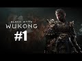 Journey Begins Again - Black Myth Wukong NG+