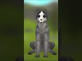 Старый тренд #wildcraft #butifyoucloseyoureyes #music #warriorcats #edit #wolf #demios