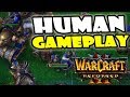 Warcraft 3 Reforged Beta Human Gameplay Video