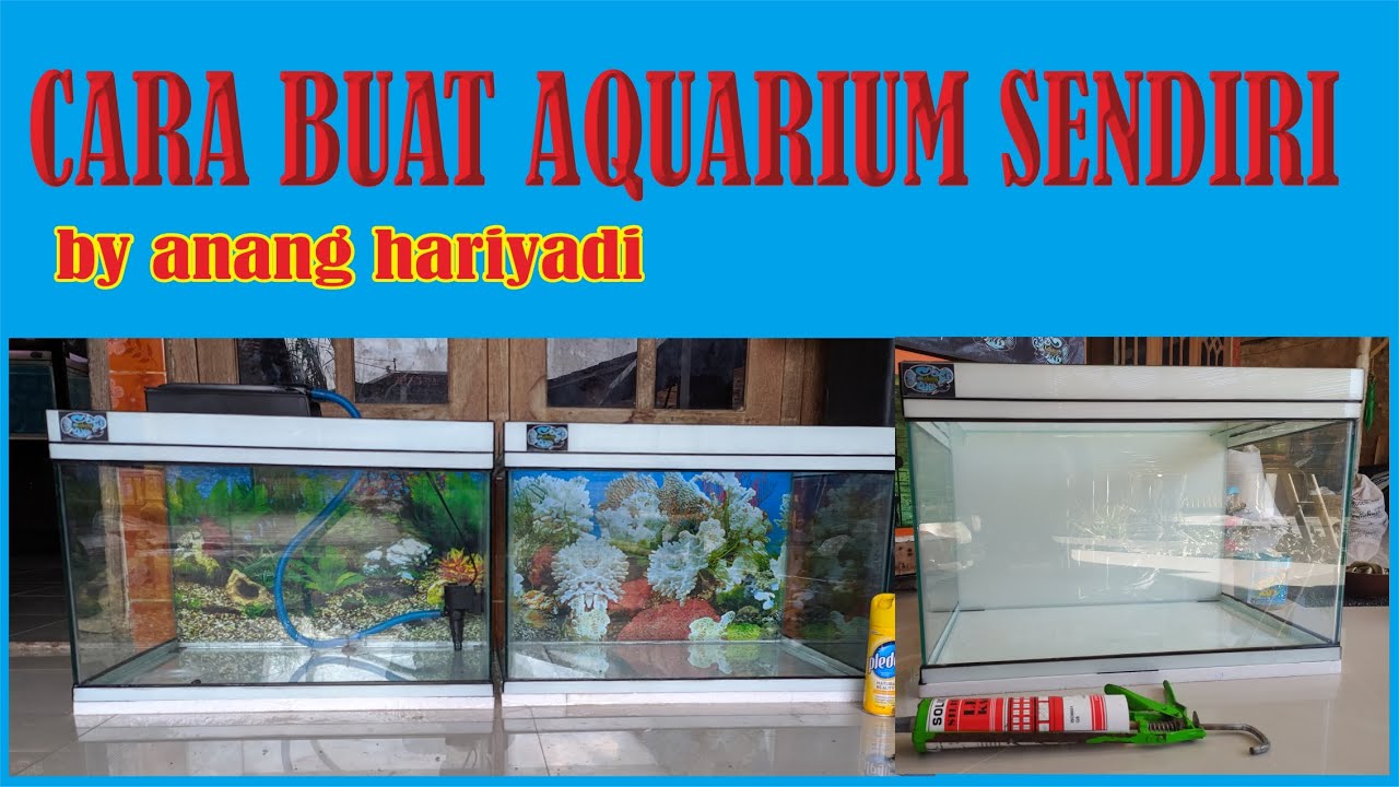 CARA MEMBUAT AQUARIUM YouTube