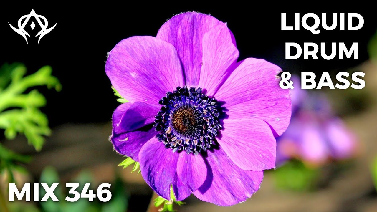 Liquid Drum and Bass Mix 346