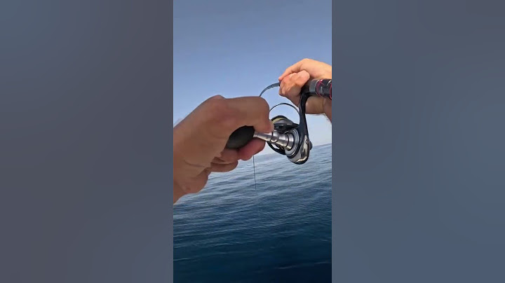 صيد سمك التونه 🐬🐟🌊