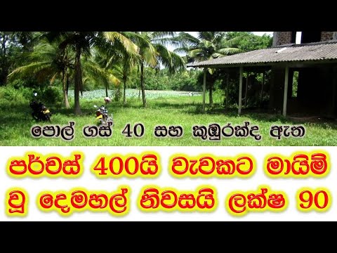 Video: Nittaevo - Paslaptingi Maži Šri Lankos žmonės - Alternatyvus Vaizdas