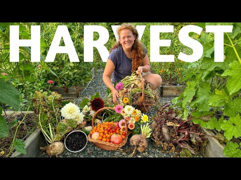 HARVEST with ME