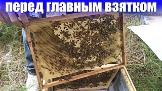 Объединение семей пчел перед  главным взятком. Объединение пчелиных семей.