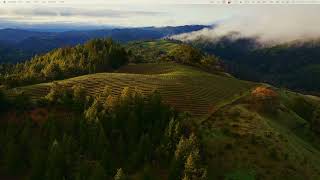 Lecture 13: Nonlinear Equations part 3