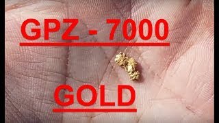 Gold Nugget - GPZ 7000 - Arizona