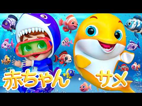 Baby Shark Dance | サメのかぞくたいそう | ベイビーシャーク🦈トゥルルルル | 子どもの歌 | バナナ手話漫画