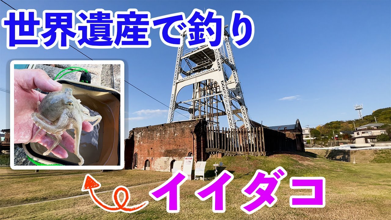 三池 港 釣り