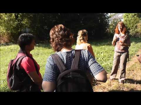 Neu Bamberg -