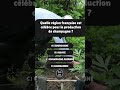 Trouve la réponse en 5 secondes ⏳