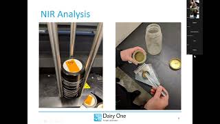 Hold Your Horses: Forage Analysis