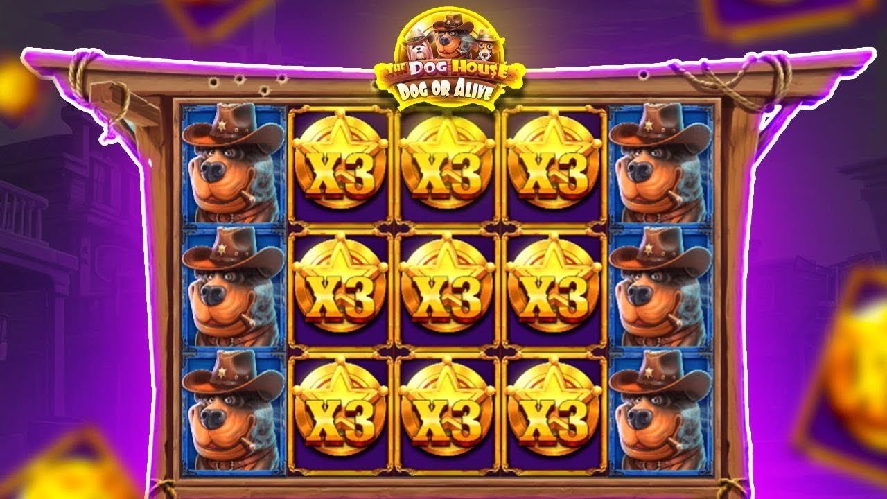 THE DOG HOUSE DOG OR ALIVE 2025 — ОГРОМНЫЕ БОНУСНЫЕ ПОКУПКИ И БЕЗУМНАЯ ДИКАЯ РАЗРАБОТКА 💰🐶