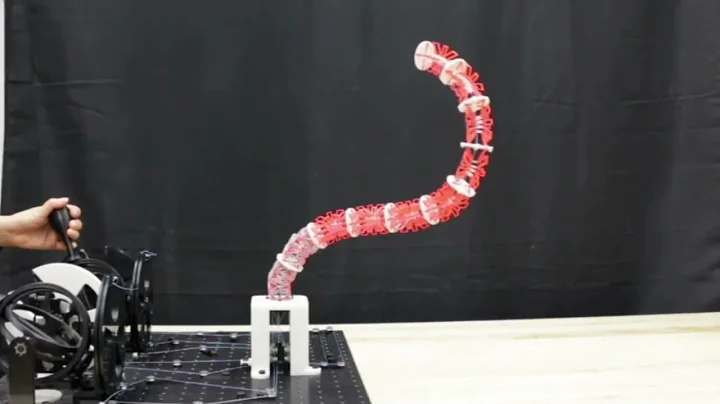 A Lightweight Modular Segment Design for Tendon-Driven Continuum Robots