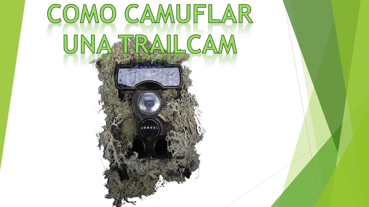 Cómo camuflar tu cámara de fototrampeo