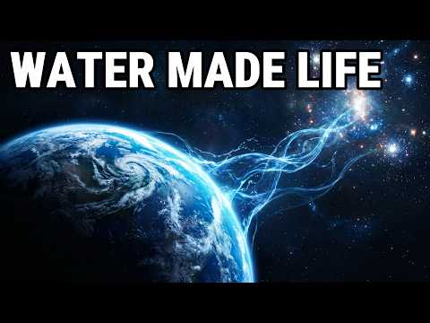 The Evolution of Water: From the First Ocean to the First Cell