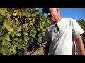 Malibu vineyards owner jim palmer by dianne porchia
