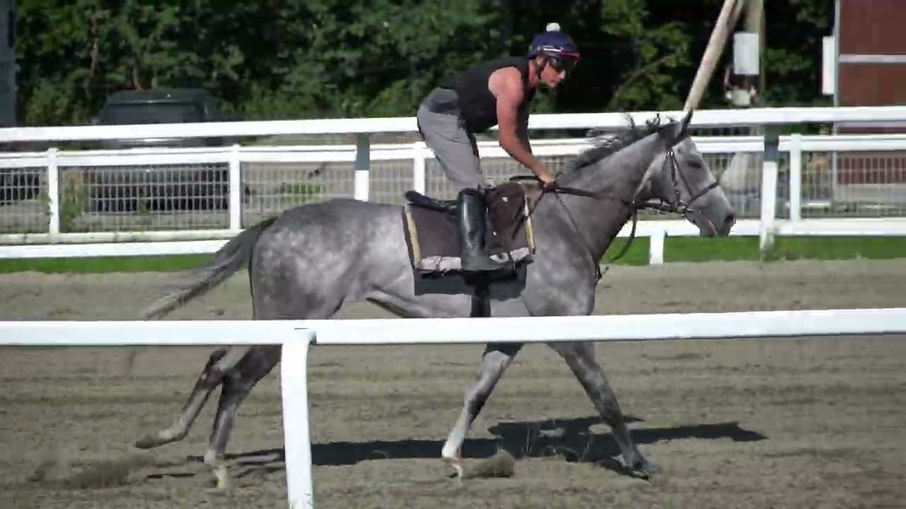 Treningsdag Øvrevoll Galopp 30.07.2022.