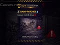 Construction Defects Explained ⚠️Cracks,Damp,Honeycombing &amp; More #civilengineering#viral#viralvideo
