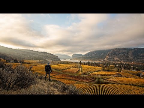 A Fall morning in Okanagan Falls  (2018)