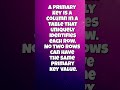 What is a Primary Key? 🔑