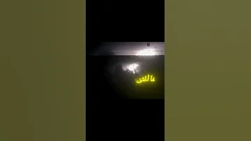 يا ليتها كانت القاضيه ياسر الدوسري 