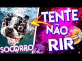 TENTE NÃO RIR!